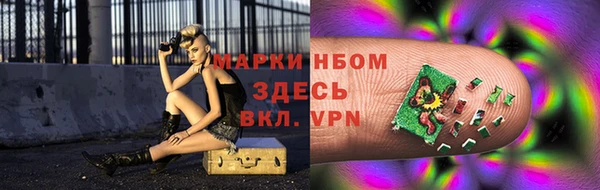 стаф Волоколамск