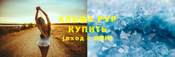 стаф Волоколамск