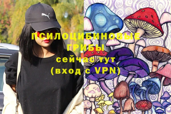 стаф Волоколамск