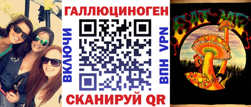 Купить где  Медынь  Псилоцибиновые грибы GOLDEN TEACHER 